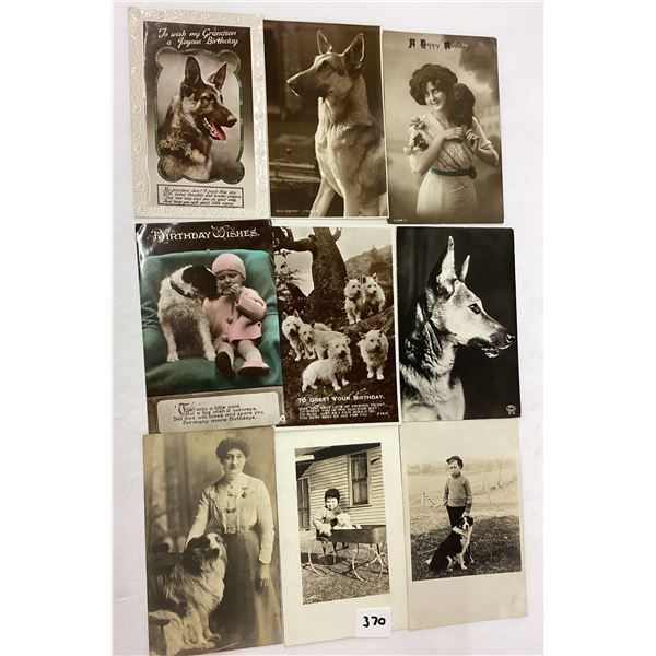 Animals - Dog Photo Postcards 24