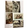 Image 2 : Animals - Dog Photo Postcards 24