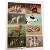 Image 1 : Animals - Dog Postcards 31