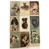 Image 2 : Animals - Dog Postcards 31
