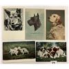 Image 4 : Animals - Dog Postcards 31