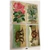 Image 3 : Novelty - Album of 40+ Postcards