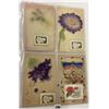 Image 5 : Novelty - Album of 40+ Postcards