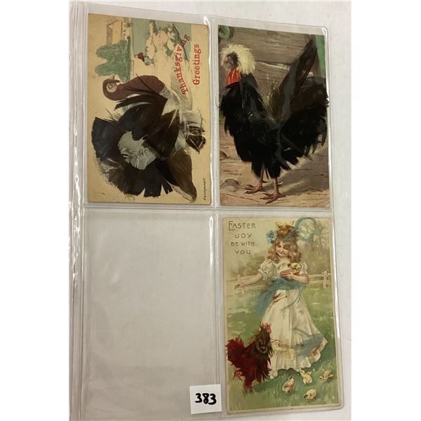Novelty - Feather Attachment Postcards 16