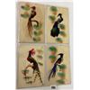Image 3 : Novelty - Feather Attachment Postcards 16