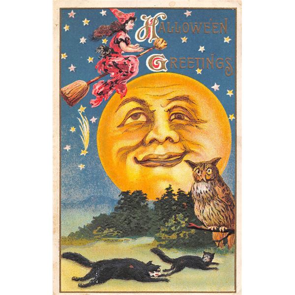 Halloween Greetings Witch on Broom Over Moon With Cats & Owl Holiday PC
