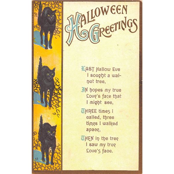 Halloween Bamberger Black Cat Holiday Greeting Postcard