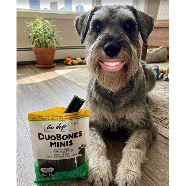 DuoBones Minis Mint Flavor Dog Chews 12x100g
