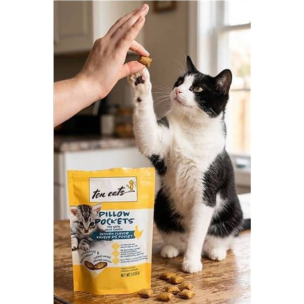 Ten Cats Pillow Pockets Cat Treats 6x85g