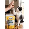 Image 1 : Ten Cats Pillow Pockets Cat Treats 6x85g