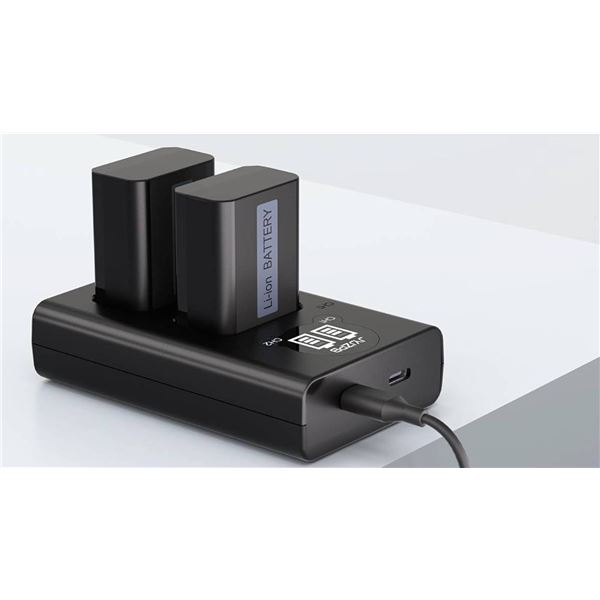 JYJZPB Battery & Charger Kit for NP-FW50