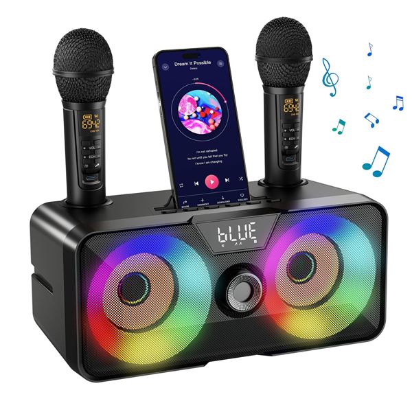 SINWE SK1 Karaoke Speaker System