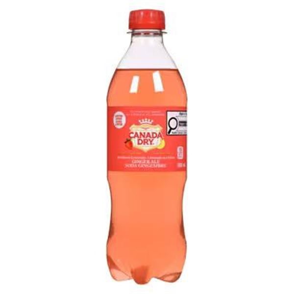 Canada Dry Raspberry Lemonade Ginger Ale 24x
