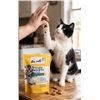 Image 1 : Ten Cats Pillow Pockets Cat Treats Lot