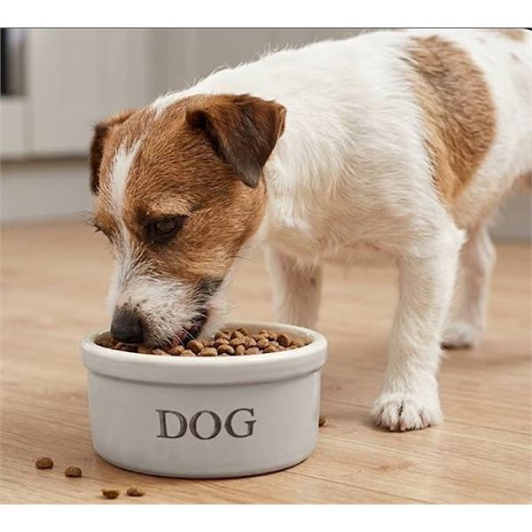 Ohio Stoneware 5" Dog Bowl