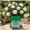 Image 1 : Miracle-Gro Plant Food 500g 28-10-10