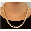 Image 1 : $200, SILVER FRESH WATER PEARL NECKALCE 16", retail value $200