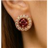 Image 1 : $120, SILVER(1.88g),  GARNER  (0.15ct) EARRING, retail value $120