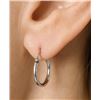 Image 1 : $25, SILVER SMALL HOOP EARRING, retail value $25