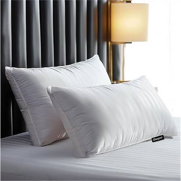Beautyrest Two Pillow Set