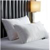 Image 1 : Beautyrest Two Pillow Set