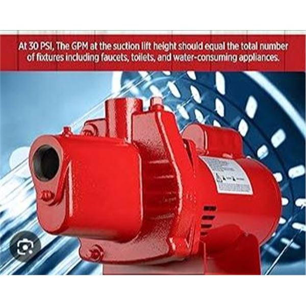 Red Lion Premium Shallow Well Jet Pump