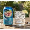 Image 1 : Canada Dry Club Soda 12 x 355ml Cans