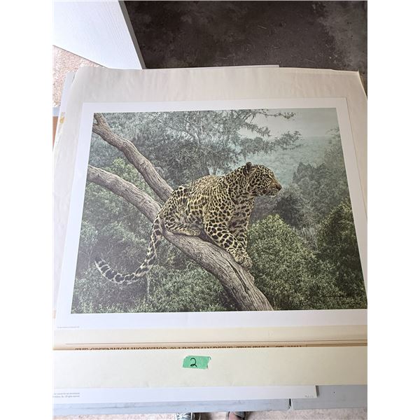 SIMON COMBES "THE SOLITARY HUNTER" LEOPARD ART PRINT