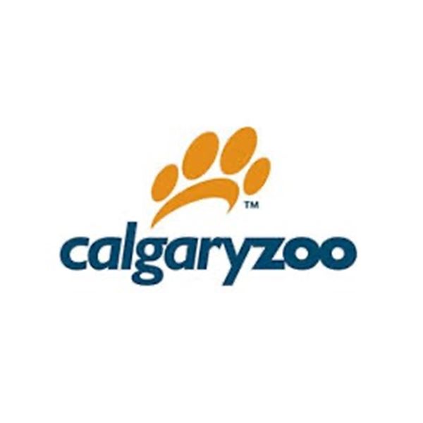 A Day at the Zoo Basket