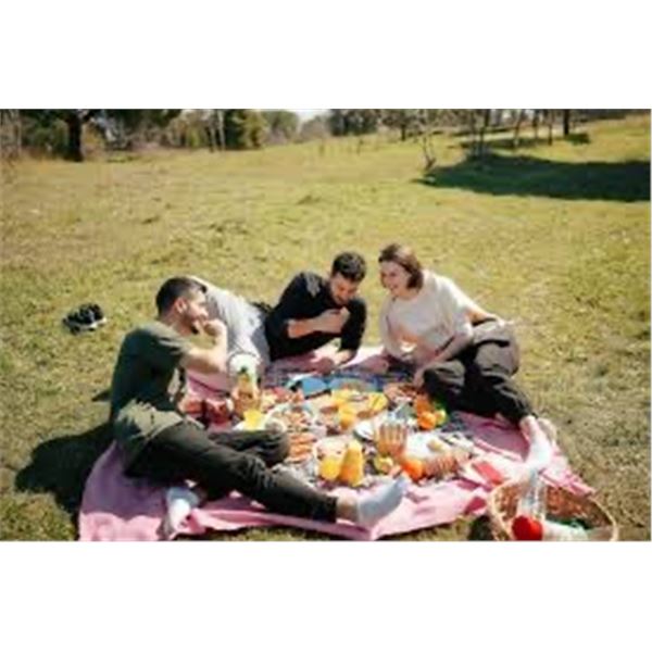 Great Time for a Picnic!