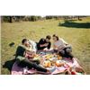 Image 1 : Great Time for a Picnic!