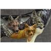 Image 10 : CALL OF THE WOLF (BLOOD BROTHERS)