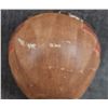 Image 13 : HOPI POTTERY VASE (LAWRENCE NAMOKI)
