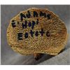Image 6 : HOPI KACHINA (ADAMS)