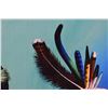 Image 9 : FIVE ZUNI PRINTS (ELROY NATACHU JR.)