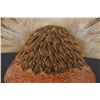 Image 15 : HOPI KACHINA (MORGAN MURPHY)