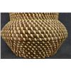 Image 9 : COUSHATTA BASKETRY OLLO