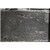 Image 5 : PHOTOGRAPH (BEN WITTICK)