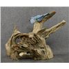 Image 3 : WOOD CARVING (LAWRENCE PACHECO)
