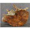 Image 5 : WOOD CARVING (LAWRENCE PACHECO)