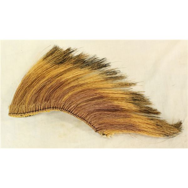 Plains Indian Roach