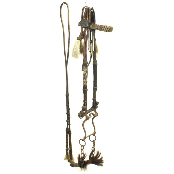 Early Horsehair Bridle
