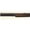 Image 8 : Winchester 1906 Rifle