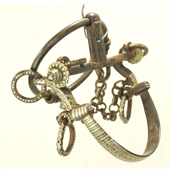Argentine Ring Bit