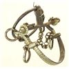Image 1 : Argentine Ring Bit