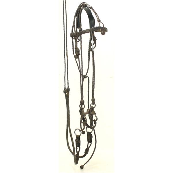 Early California Braided Bridle