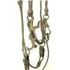 Image 3 : Early California Braided Bridle