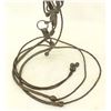 Image 4 : Early California Braided Bridle