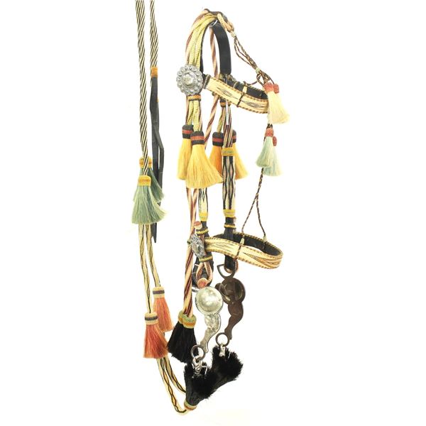 Outstanding Walla Walla Horsehair Bridle