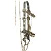 Image 1 : Phenomenal Mexican Silver Bridle and Bit
